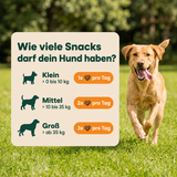 CureTail DARM+ Bild 5