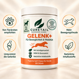 GELENK+ 2
