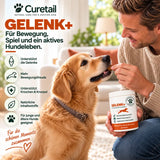 GELENK+ 4