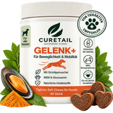 GELENK+ 1