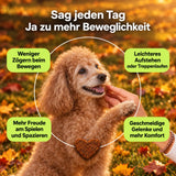 GELENK+ 3