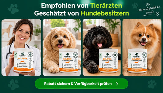 Blog „Arthrose und das Leben mit Hunden“