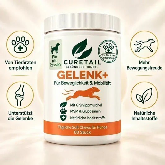 Snacks für die Gelenke – Schluss mit Schmerzmitteln